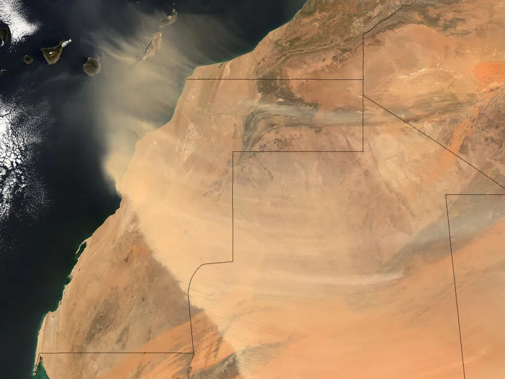 Dusty. (Western Sahara/Flickr, CC BY-SA)