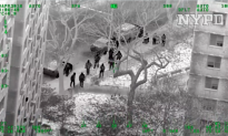 Video: Aerial Footage of NYPD, FBI Conducting Massive Narcotics Raid in East Harlem