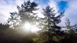 Hobbyist Performs Vertigo-Inducing Tricks With His Virtual Reality-Powered Racing Drone