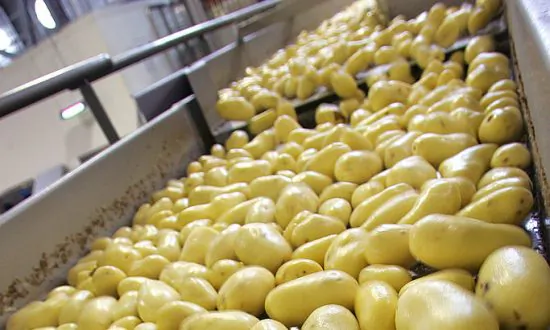 The FDA Is Recalling Some Potatoes, Lemons, Limes, and Oranges Due to Potential Listeria Contamination