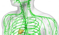 Signs of a Clogged Lymphatic System and 10 Ways to Cleanse It
