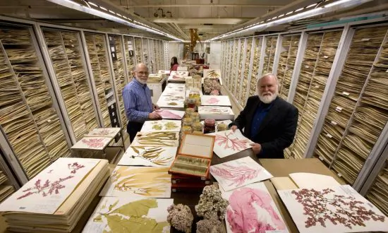 Explore What You Can’t Normally See at the Museum