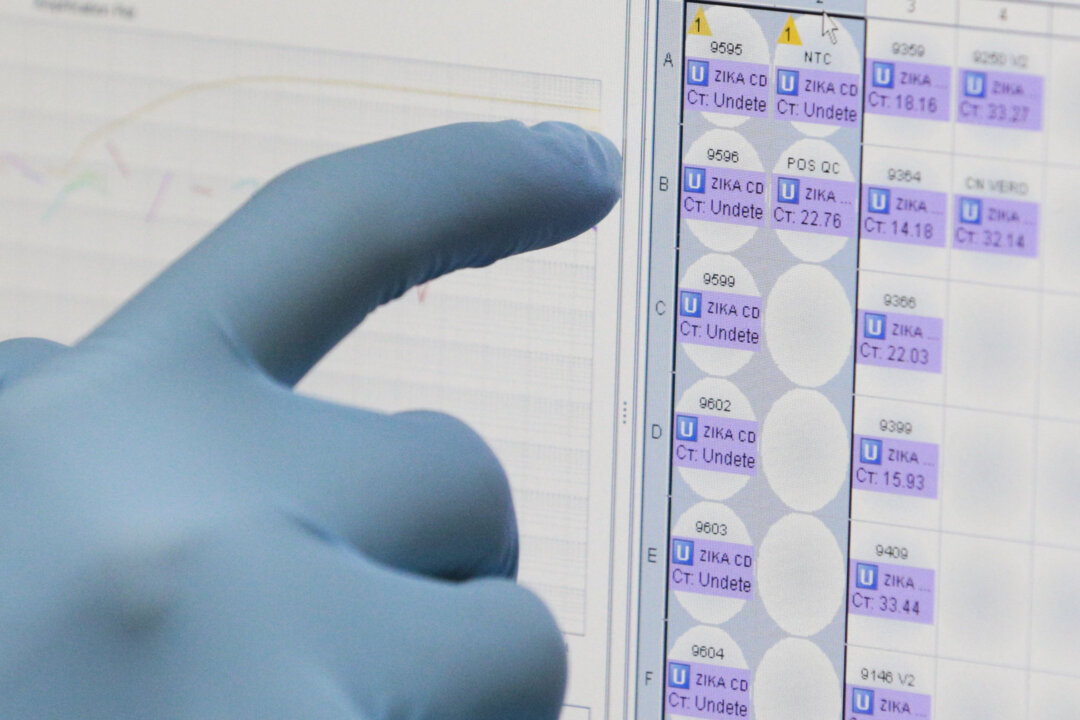A medical researcher uses a monitor that shows the results of blood tests for various diseases, including Zika, at the Gorgas Memorial laboratory in Panama City on Feb. 4, 2016. On April 28, 2016, the U.S. Food and Drug Administration (FDA) authorized Quest Diagnostics to offer the first commercial test for the Zika virus in the United States. Previously, Zika tests were only available through a handful of government-designated laboratories. Quest said the commercial test could be available as early as the first week of May. (AP Photo/Arnulfo Franco)