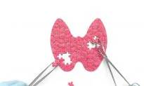Hypothyroidism – How to Heal the Thyroid