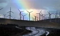 Wind Farms Wreaking Havoc on Wildlife and Local Residents