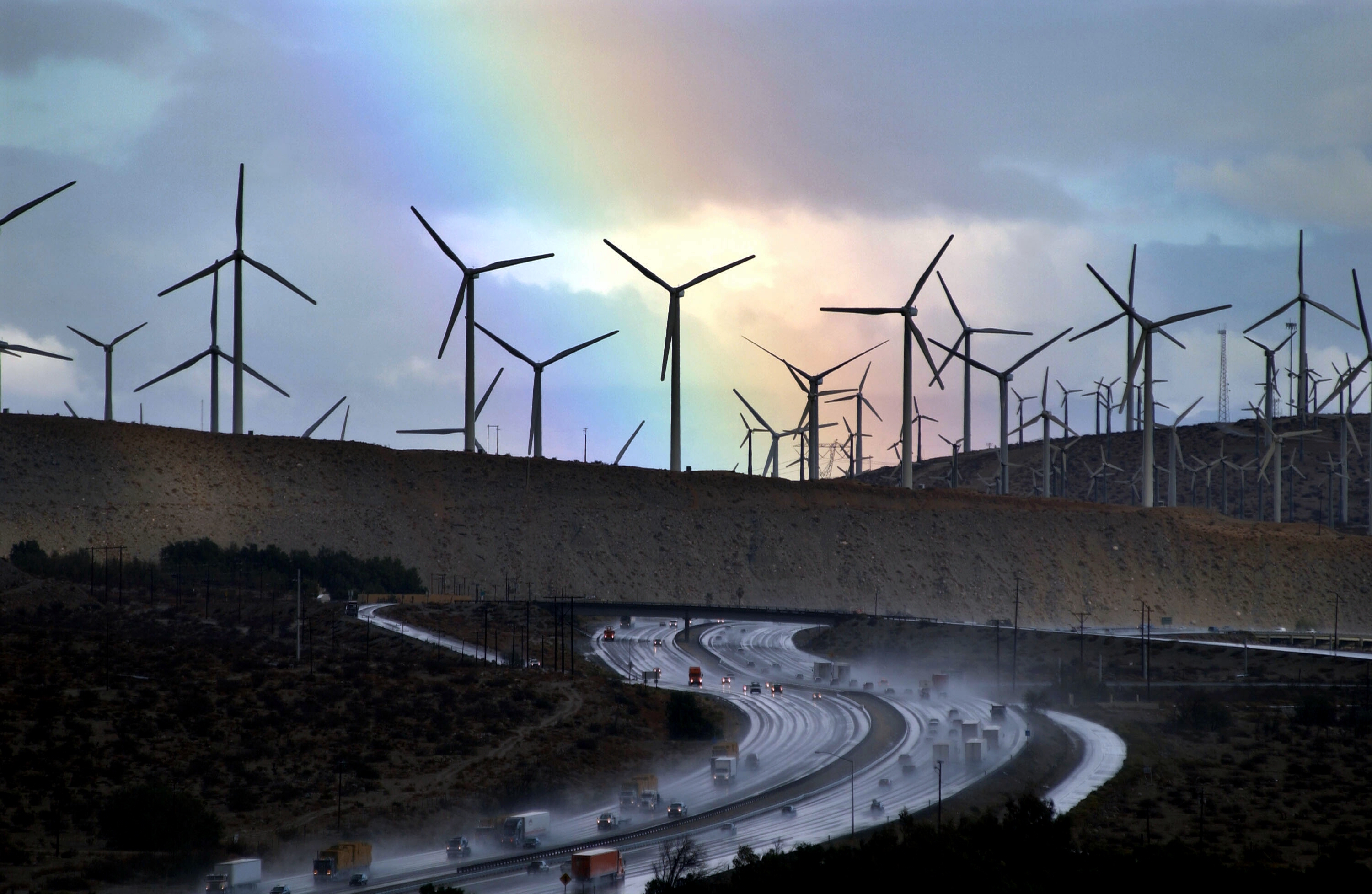 Wind Farms Wreaking Havoc on Wildlife and Local Residents - Vimarsana News