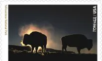 As National Park Service Turns 100, It Highlights 16 of the Most Stunning Park Images