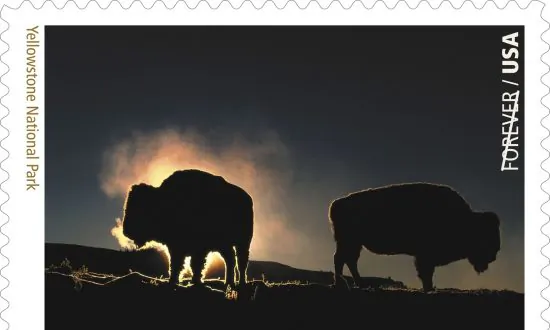 As National Park Service Turns 100, It Highlights 16 of the Most Stunning Park Images