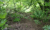 3 Year-Old Falls Off Cliff—Survives, Mom Dies