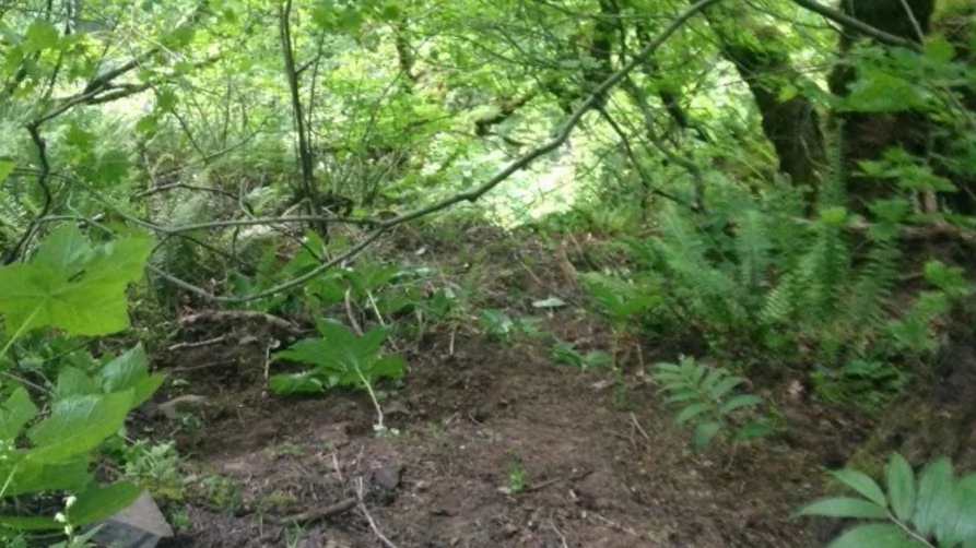 Multnomah County Sheriff's Office Hornet trail members took this photo showing the scene where the fatal incident happened on the Horsetail Falls trail on Sunday, May 1, 2016 