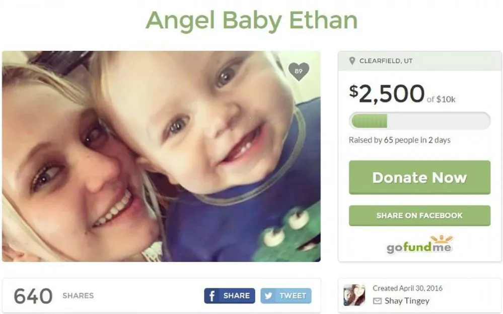 (GoFundMe)