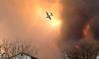 Fort McMurray Wildfire: How the Weather Fueled the Fire and the Fire Changed the Weather