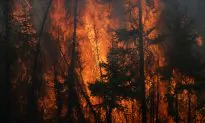 Man Watches His Living Room Burn on Security Cam in Fort McMurray Wildfire