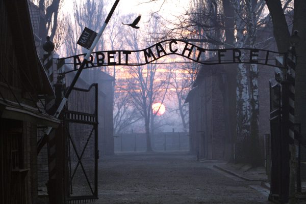 80th Anniversary of Liberation of Auschwitz-Birkenau Death Camp