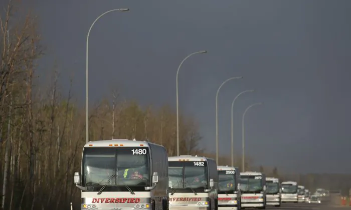 A line of busses make their way through a road block on Highway 63 near Fort McMurray, Alberta, on May 6, 2016. (Cole Burston/AFP/Getty Images)