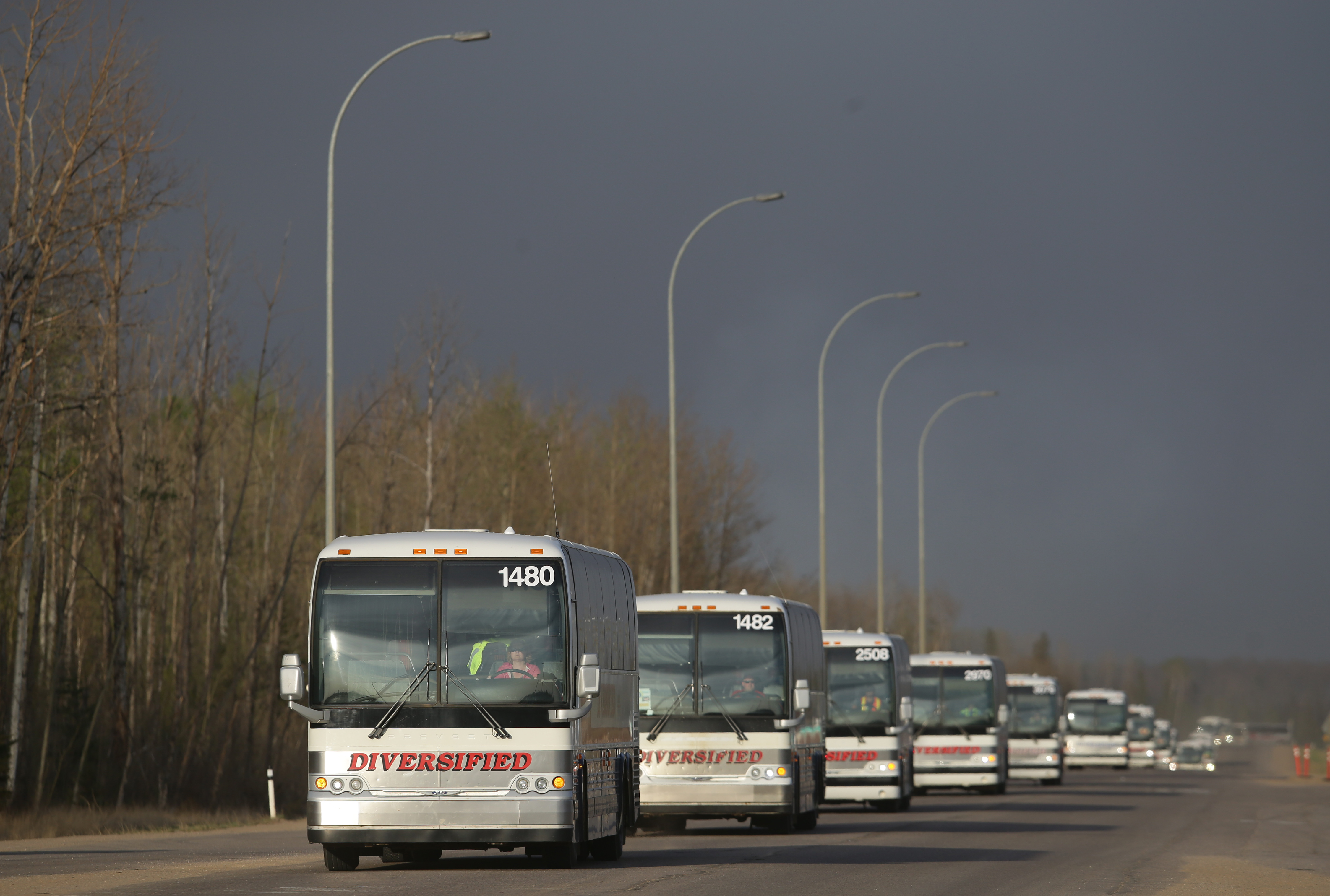 Wildfire Evacuees in Northern Saskatchewan Head to Regina - Vimarsana News