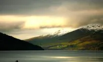 We All Live Downstream—It’s Time to Restore Our Freshwater Ecosystems