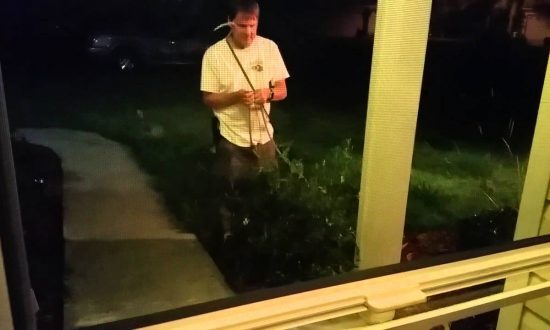 Video: Alligator Pays South Carolina Family a Late Night Visit