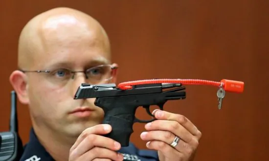 Reports: George Zimmerman Gun Sold for Over $120k