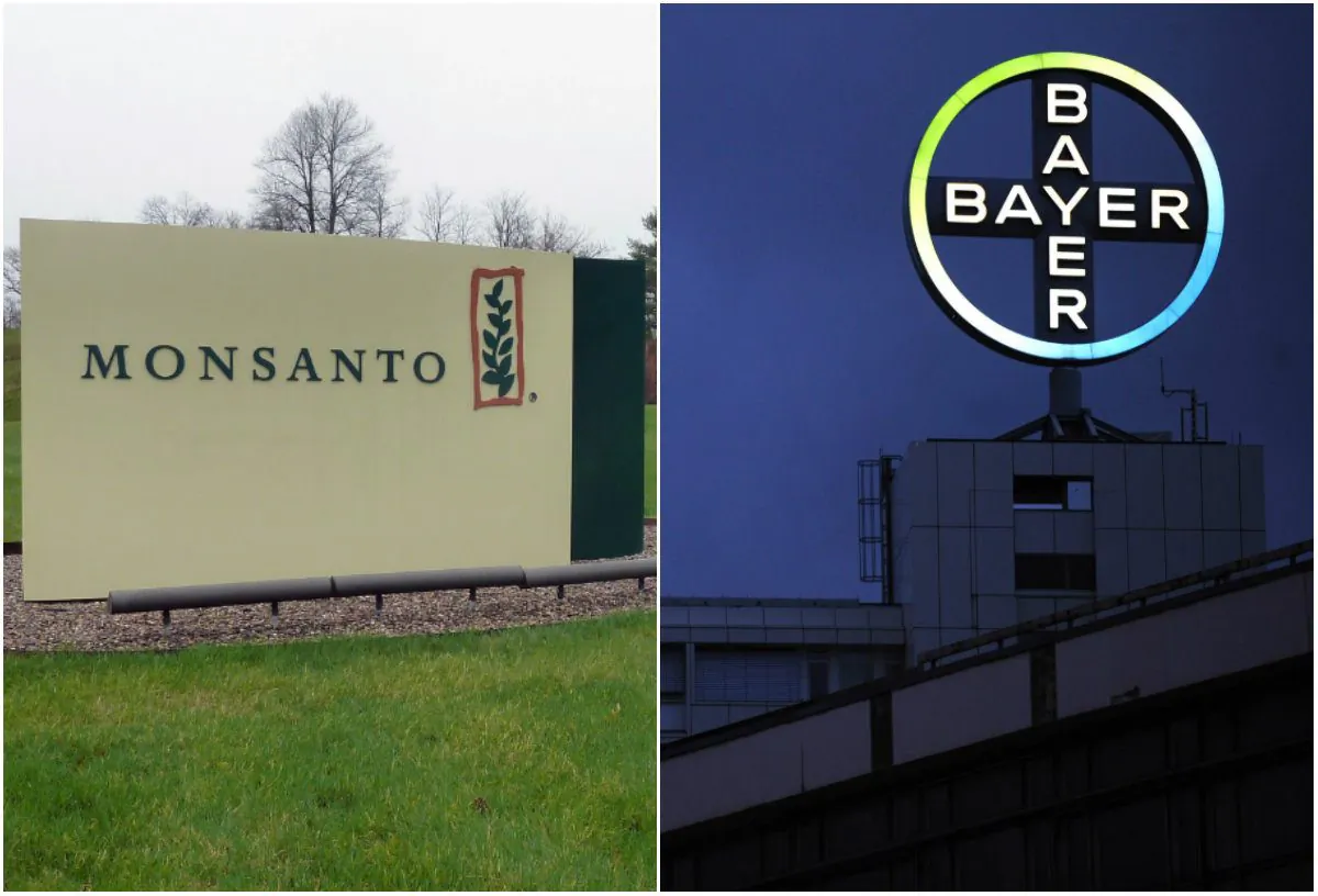 Left: The entrance sign is seen at the headquarters of Monsanto, at Creve Coeur (St. Louis), Missouri, on April 7, 2014. (Juliette Michel/AFP/Getty Images); Right: A logo of German pharmaceutical giant Bayer in Berlin on Nov. 24, 2010. (John Macdougall/AFP/GettyImages)