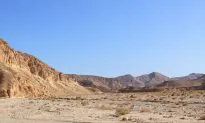 Grandpa Jailed After Leaving 5-Year-Old Granddaughter Stranded in Desert With Loaded Gun