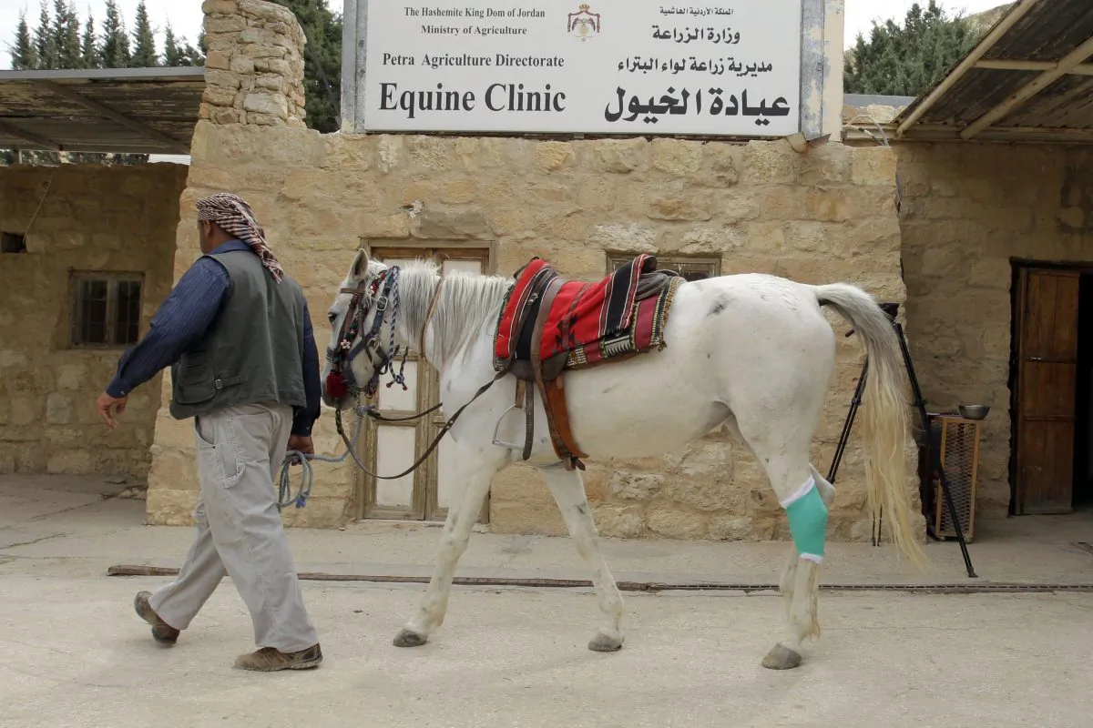 
A man and his horse, used for transporting, walk past an equine clinic at the ancient city of Petra in Jordan on March 25th, 2015. Four Paws and the Jordanian Princess Alia Foundation (PAF) work for the improvement of the health and working conditions of horses and donkeys in Petra, providing veterinary treatment and training for the owners. (KHALIL MAZRAAWI/AFP/Getty Images)
