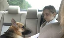 Rescued Dog Saves 7-Year-Old Girl from Deadly Snake
