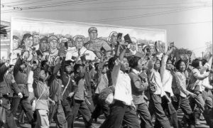 New York’s Cultural Revolutionary Education Reforms