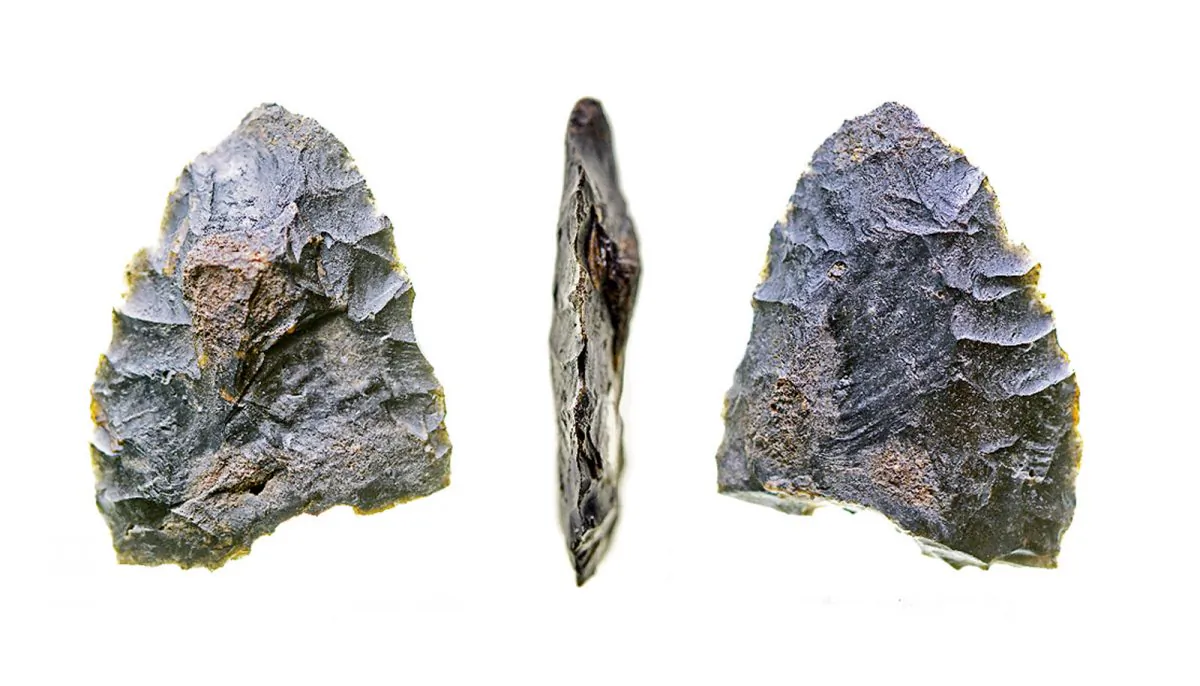 "The stone tools and faunal remains at the site show that at 14,550 years ago, people knew how to find game, fresh water, and material for making tools," says Michael Waters. "These people were well-adapted to this environment. The site is a slam-dunk pre-Clovis site with unequivocal artifacts, clear stratigraphy, and thorough dating." (Texas A&M University)