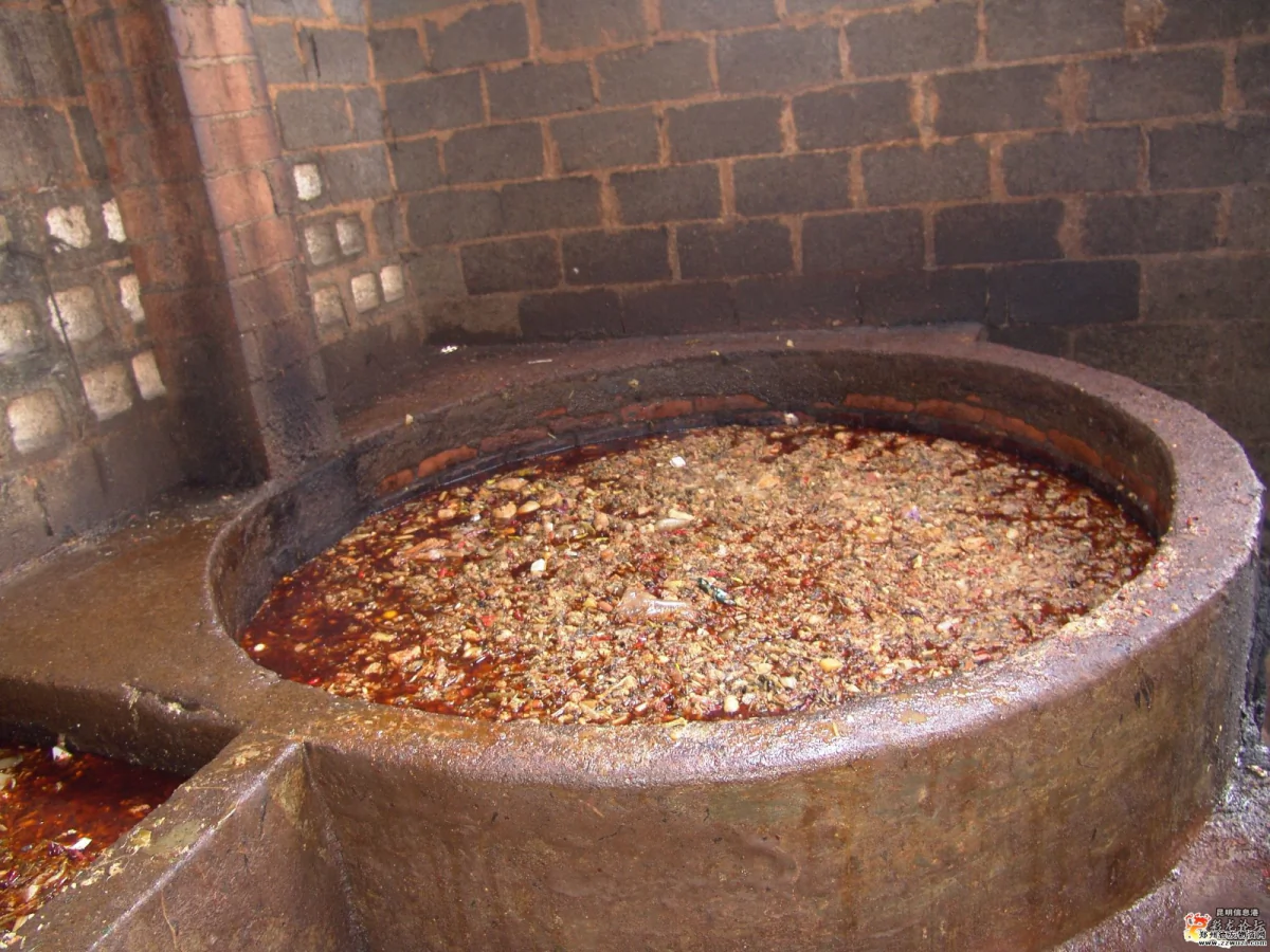Kitchen slop in Zhengzhou, central China. (via Sina Blogpost)