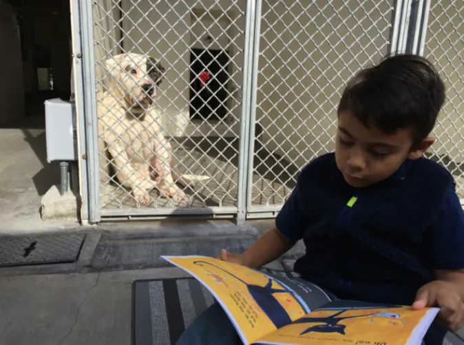 Jacobs at Carson Animal Shelter in Gardena, California (Courtesy Lisa Dekowski-Ferranti)