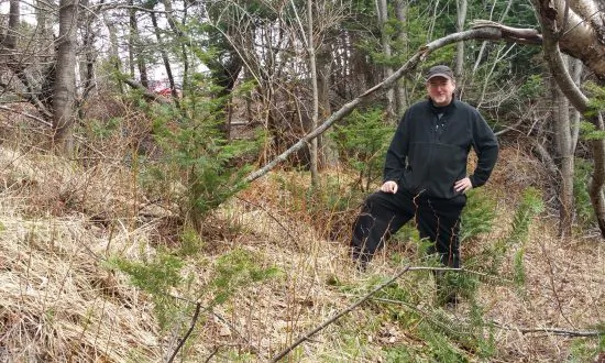 New Lead in the Search for Elusive Norse Settlements