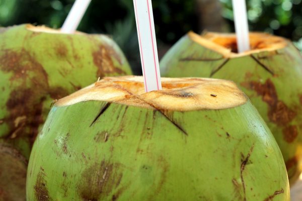 Coconut Water: A New Alzheimer's Disease Treatment?