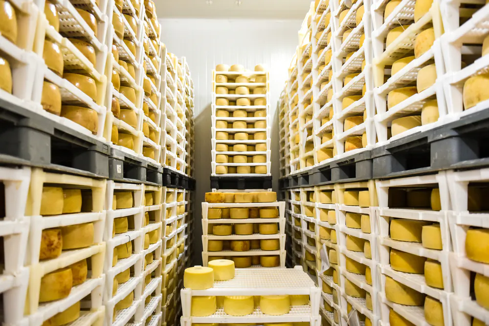 Evidence of Prehistoric Swiss Cheese Found in Pots