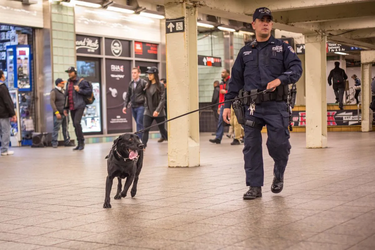 NYPD Officer Horacio Maldonado with his K-9 partner, Raychel, on patrol at the Times Square subway station in New York, on May 17, 2016. (Benjamin Chasteen/Epoch Times)
