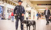 The Elite K-9 Unit That Keeps New York Safe