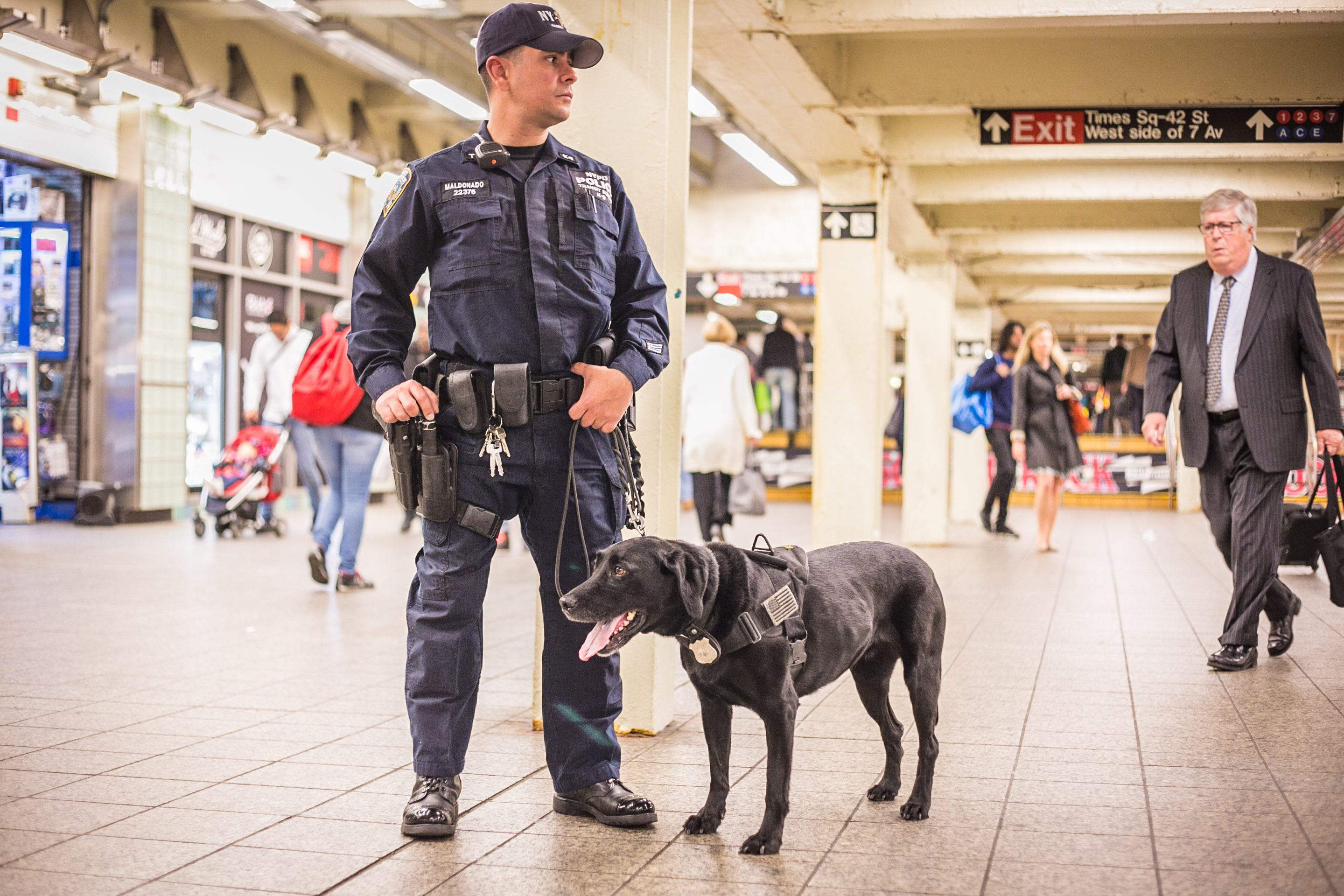 Nypd deals canine unit