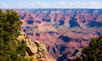 Grand Canyon Celebrates 100 Years as a National Park in 2019