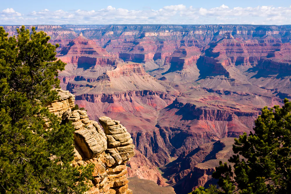 Grand Canyon View (Courtesy of Grand Canyon)
