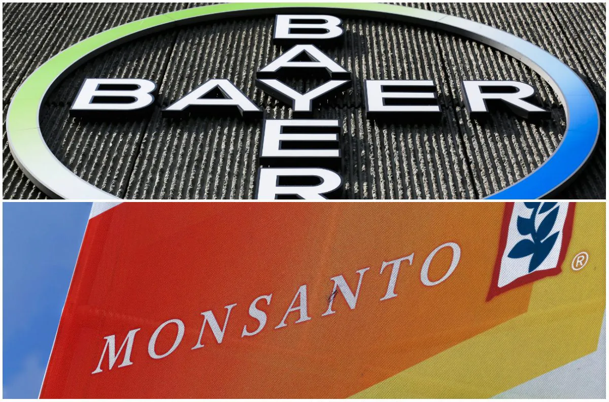 Top: The Bayer AG corporate logo on a building of the German drug and chemicals company in Berlin, Germany, Monday, May 23, 2016. (AP Photo/Markus Schreiber); Bottom: Aug. 31, 2015 photo of the Monsanto logo at the Farm Progress Show in Decatur, Ill. (AP Photo/Seth Perlman)