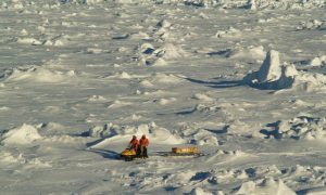 NASA: Antarctic Sea Ice Is Increasing and Arctic Ice Is Melting—Here's Why
