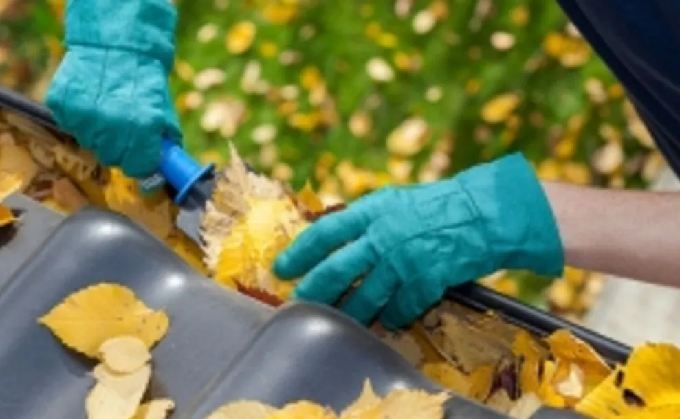 A stock photo of a person cleaning leaves from a gutter. (Energy.gov)