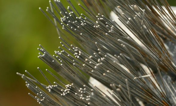 (PROClint Budd/Flickr/CC BY)