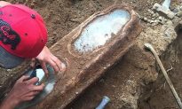 Perfectly Preserved Body of a Young Girl Buried in the 1800s Found Under San Francisco Home