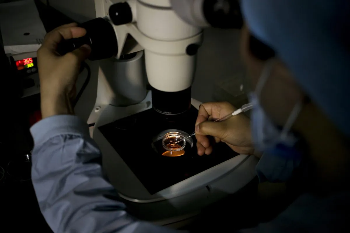 In this April 24, 2016 photo, a medical staff member collects an egg on a laboratory dish during an infertility treatment through in vitro fertilization (IVF) for a patient at a hospital in Beijing. (AP Photo/Andy Wong)