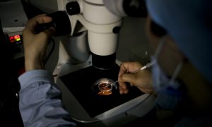 Chinese Student Sells 29 of Her Eggs to Illegal Fertility Agencies to Repay $9,000 Debt