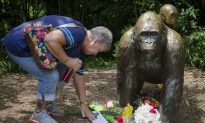 Ricky Gervais Criticizes Cincinnati Gorilla Shooting