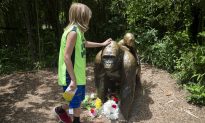 Witness to Cincinnati Zoo Incident Is Harassed Online