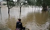 Paris Museum Reopens as French Floods Slowly Ease