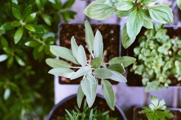 (MattMontgomery/Unsplash)